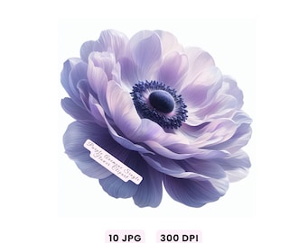 アネモネの花のイラスト：ピンクと紫の水彩クリップアート（デジタル