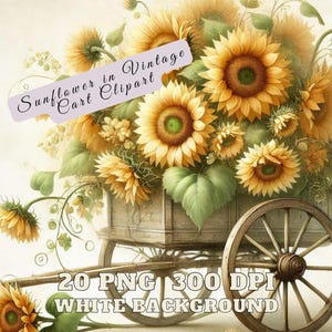 Sonnenblume Clipart, Sonnenblume in Vintage Warenkorb hochwertige Bilder, Sonnenblume in Warenkorb PNG, Sommer Clipart, Cottagecore Blumen Clipart Szenen
