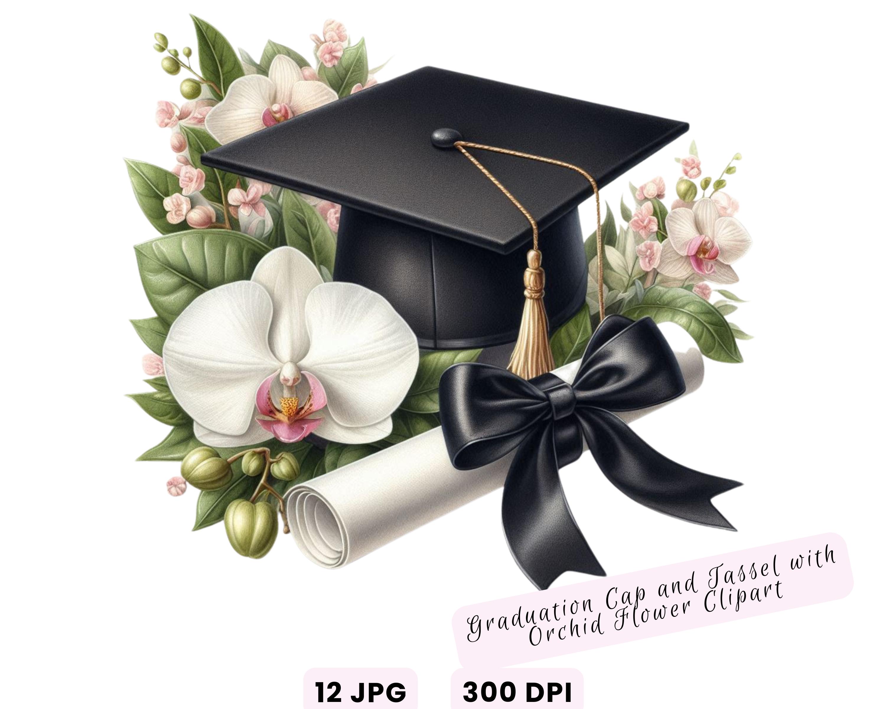 Watercolor Diploma and Cap With Flower Clipart, Graduation Clipart ...