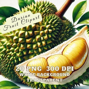 Durian Fruit Clipart Bundle, Exotic Tropical Fruit PNG, Vivid Durian Illustrations, High Quality Digital Download for Crafts & Sublimation
