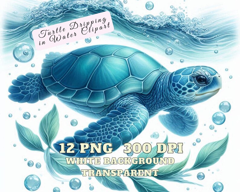 Sea Turtle Clipart, Turtle Dripping in Water Clipart, 12 Baby Turtle ...