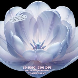 Flower Clipart, Tulip Clipart, Periwinkle Tulip Clipart, Watercolor Flower Illustration Digital Download, 10 PNG For Crafts, Decor, Journal