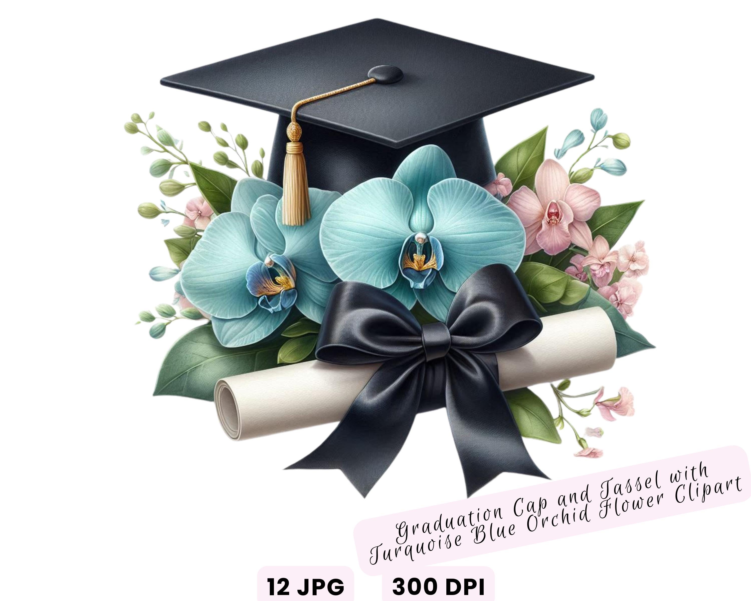 Watercolor Diploma and Cap With Flower Clipart, Graduation Clipart ...