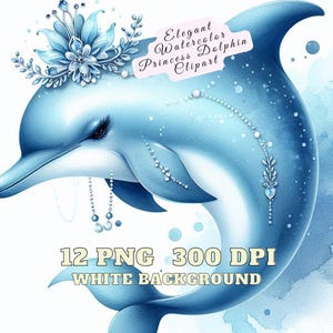 Delphin Clipart, elegante Aquarell Prinzessin Delphin Clipart, 12 Aquarell Delphin Clipart, Wassertier Delphin Prinzen hochwertige PNG