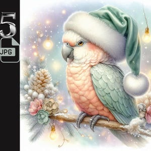 Clipart de papagaio menta pastel com chapéu de Papai Noel, arte de pássaro de inverno, ilustração de papagaio de Natal, decoração de feriado, diário de sucata, uso comercial, 5 JPG