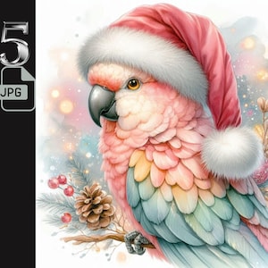 Perroquet pastel dans des cliparts bonnet de Noel, Art oiseau de Noël, Illustration de perroquet d'hiver, décoration des fêtes, Junk Journal, usage commercial, 5 fichiers JPG
