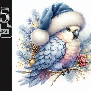 Perroquet bleu en clipart bonnet de Noel, Art oiseau de Noël, Illustration de perroquet d'hiver, décoration des Fêtes, Journal de la malbouffe, usage commercial, 5 fichiers JPG