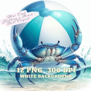 Blue Crab Clipart, Blue Crab Holding a Beach Ball Clipart, Blue Crab PNG Digital Download, Blue Crab PNG Ocean Life Illustration, Crabby PNG