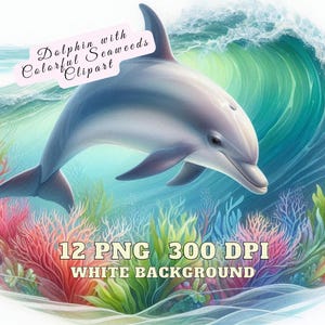Aquarell Delfin Schwimmen mit lebendigen bunten Algen, Baby Delfin Clipart, Meerestiere Clipart Bundle, Delfin Clipart, Sea Life PNG