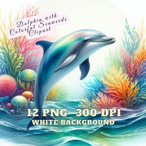 May include: A colorful digital illustration of a dolphin jumping out of the water with colorful seaweed in the background. The text "Dolphin with Colorful Seaweeds Clipart" is written in a pink box at the top of the image. The text "12 PNG 300 DPI WHITE BACKGROUND" is written at the bottom of the image.