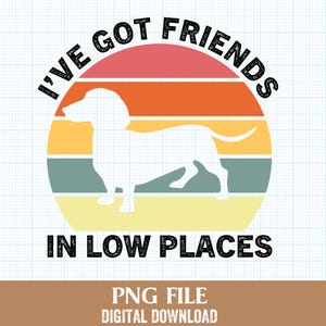 Wandschild 'I've Got Friends In Low Places' – Bedrucktes Holzschild 30,5x15,2 Cm, Dackel-Design
