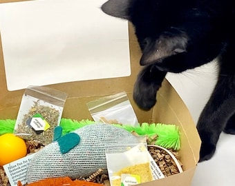 New Cat  Gift Box, New Kitten Goody Box, Organic Catnip Mice, Eco-friendly Pet Gifts, Unique Cat Gift, Sock Mouse, Free Shipping