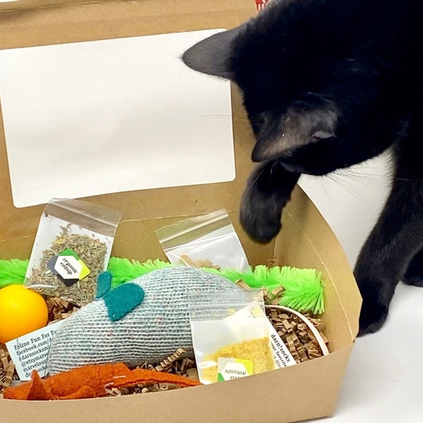 New Cat  Gift Box, New Kitten Goody Box, Organic Catnip Mice, Eco-friendly Pet Gifts, Unique Cat Gift, Sock Mouse, Free Shipping