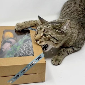 Cat Mom Moederdagcadeaudoos, nieuwe kitten-goodybox, biologische kattenkruidmuizen, milieuvriendelijke huisdiercadeaus, uniek kattencadeau, sokmuis, gratis verzending