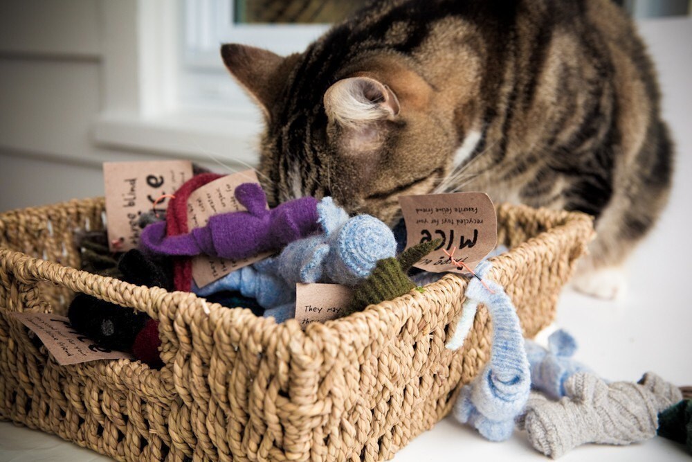 Organic Cat Toys Set of Three Wool Catnip Mice Multi Color Etsy