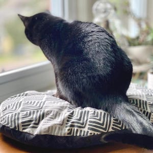 May include: A black cat sits on a patterned pet bed near a window. The cat is facing away from the camera, with its tail curled up. The pet bed has a geometric design in black and white.