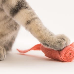Wool Catnip Mice Toy Set: Felted Sweater Scraps