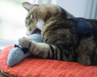 Chaussette d'herbe à chat bio : coup de pied pour chat en laine recyclée