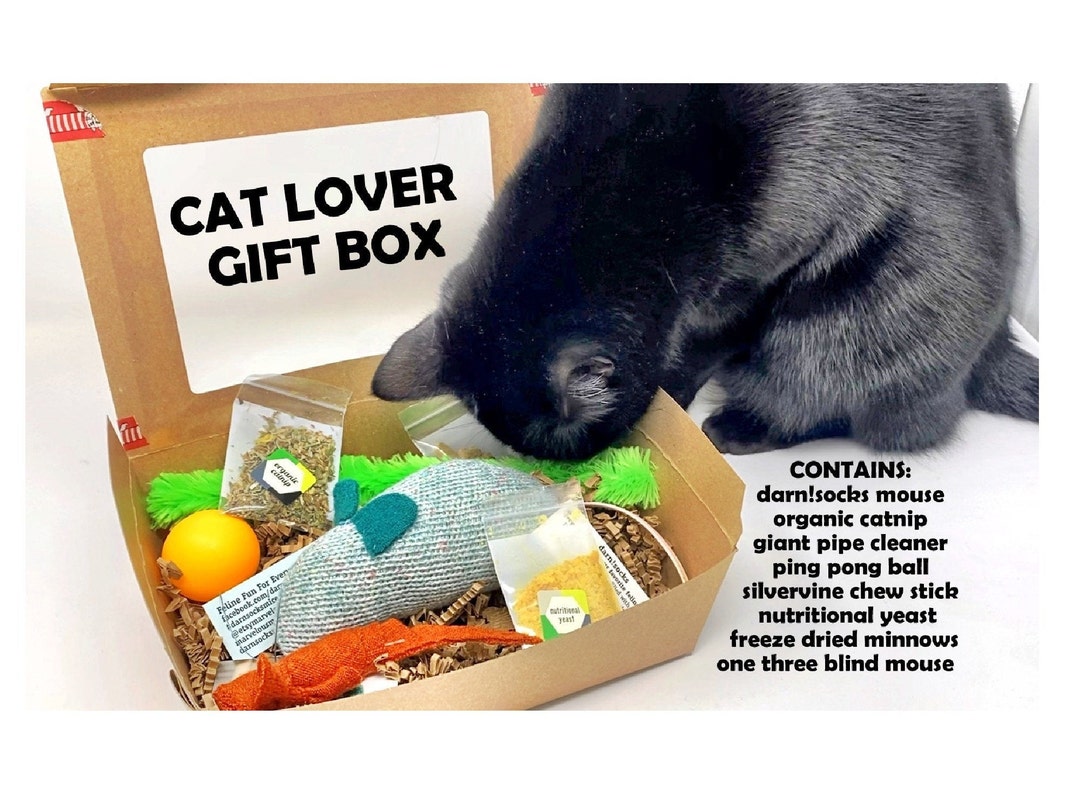 Catnip box clearance