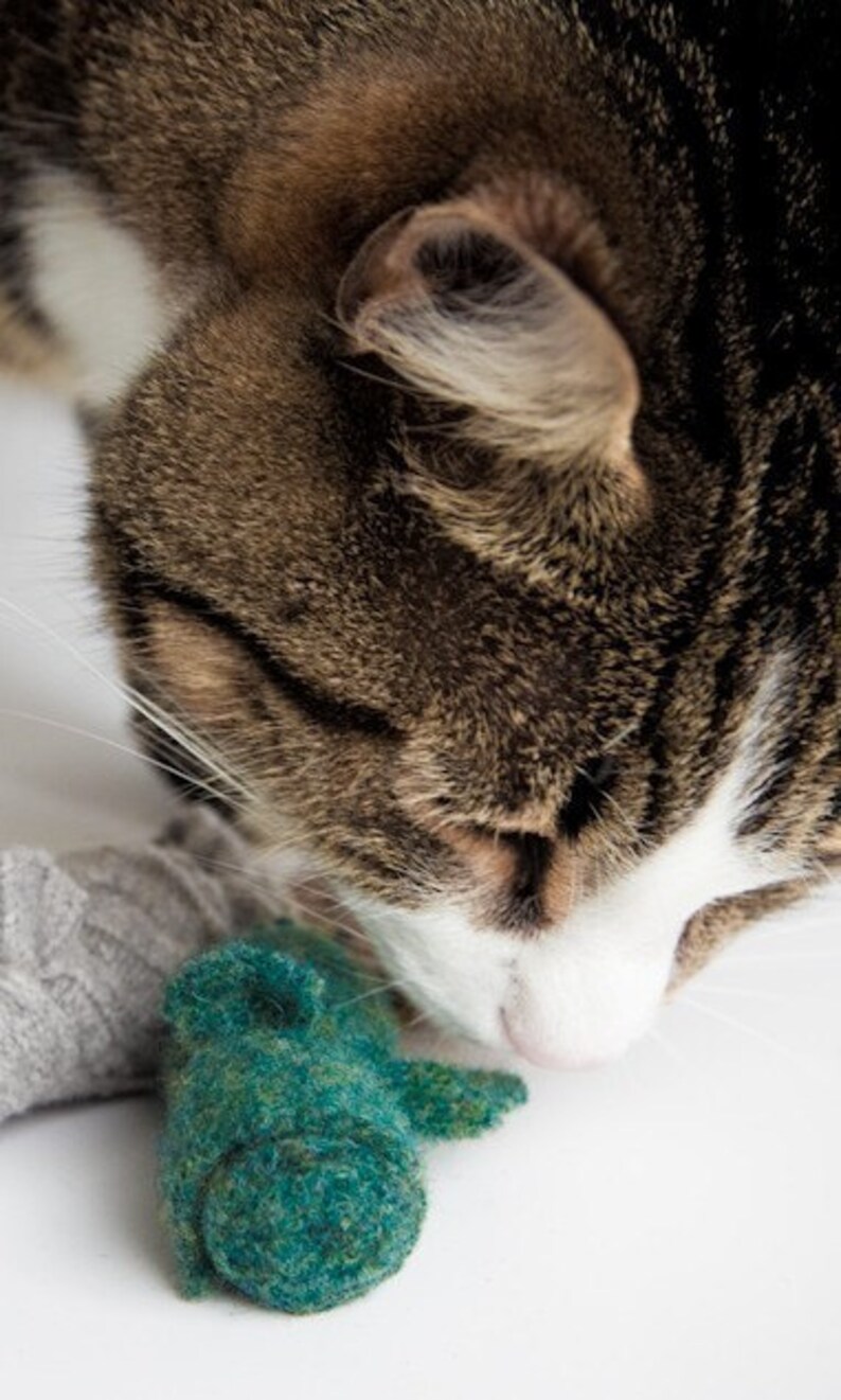 Catnip Mini Mice Organic Catnip Toys Assorted Colors Green Etsy