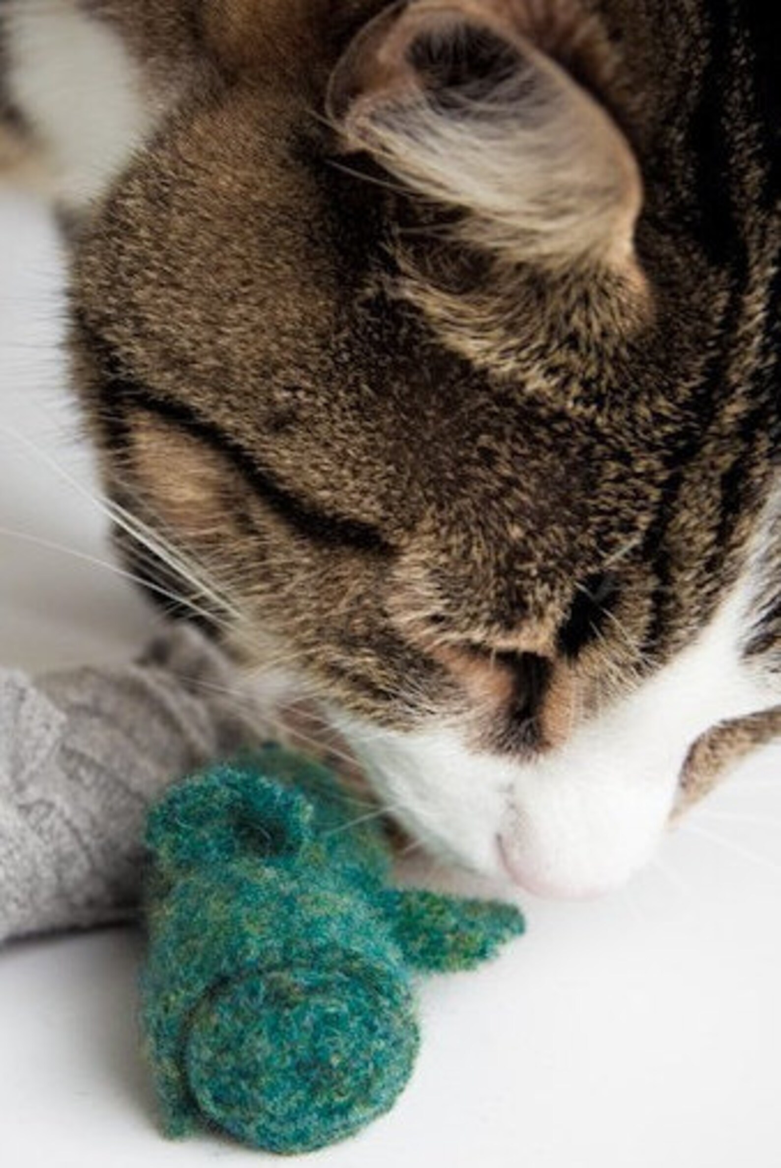 Organic Cat Toys Set of Three Wool Catnip Mice Multi Color Etsy