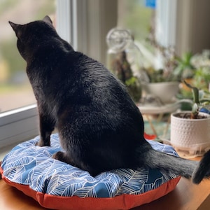 May include: A black cat sits on a blue and white patterned pet bed with an orange border, looking out a window. The cat bed is on a wooden surface, with plants visible in the background.