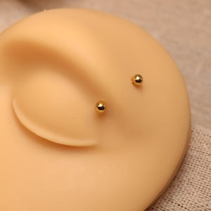 May include: Two gold ball studs in a faux earlobe for piercing jewellery.