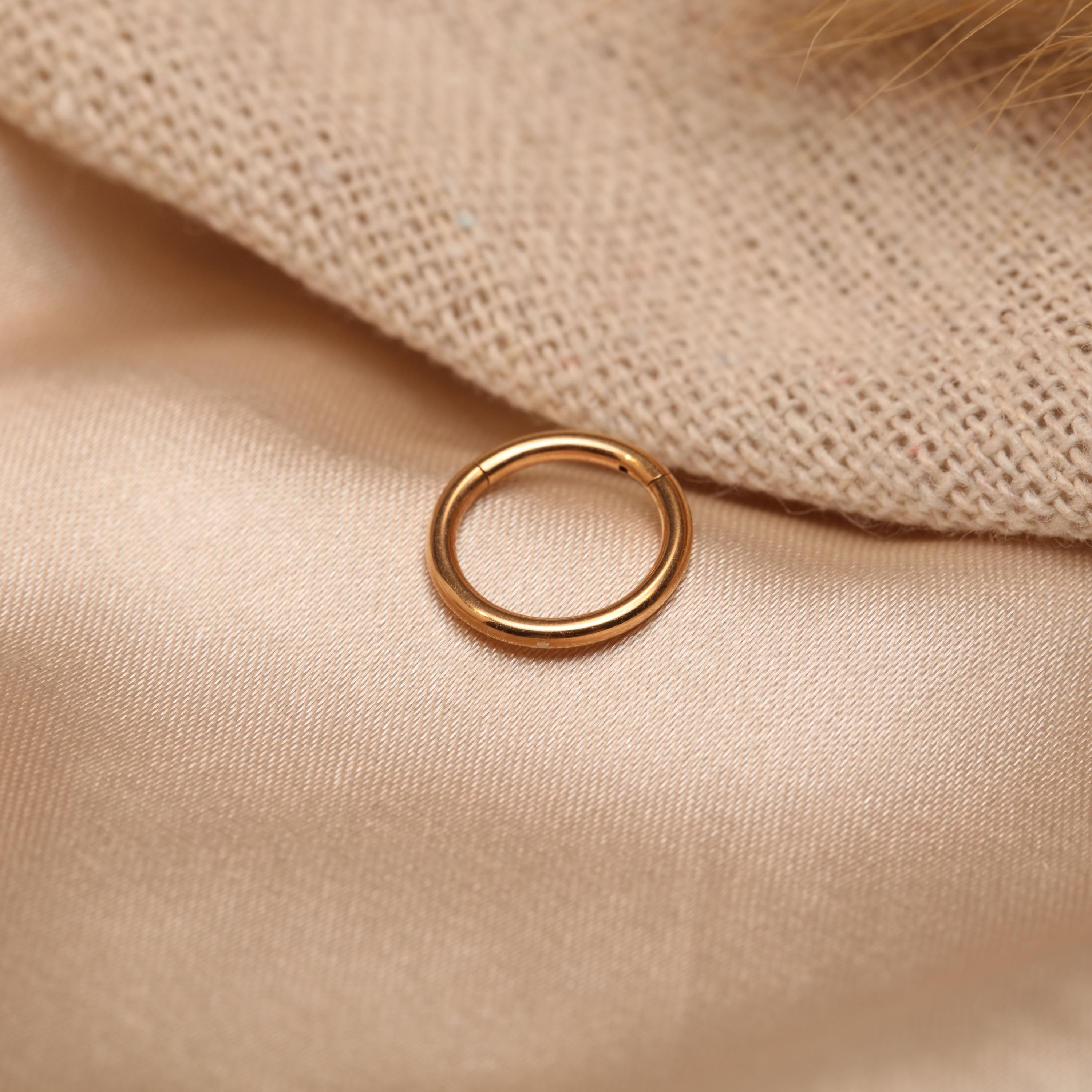 Fashionable and Beautiful Basic Nose Ring Nose Hoop 316L 20G 18G 16G ...