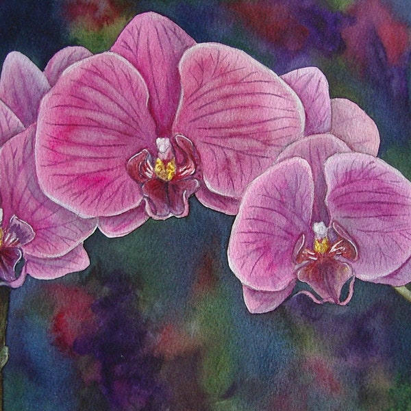 Orchid Watercolor Art Painting Red Violet Phalaenopsis Moth Orchids on Dark Colorful Background Orchid Grower Mother's Day Birthday Gift