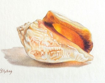 Colored Pencil Seashell Painting Art Glowing Cream and Orange Shell Beach Lover Gift Mother's Day Birthday Gift