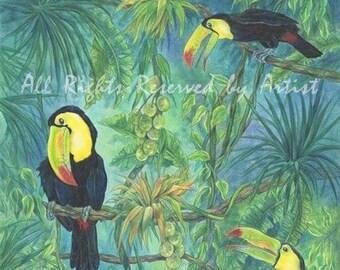 South American Toucans Bird Art Framed Giclee Print Colored Pencil Art