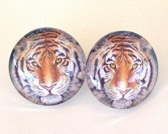 Tiger Cat Jewelry Earrings Button Post Stud Style School Team Mascot Exclusive Art