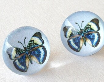 Butterfly Earrings Jewelry Exclusive Art Black Blue White on Pale Blue Button Posts