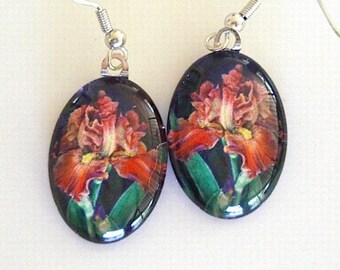 Iris Art Glass Drop Earrings: Red Gold Cafe Coffea Iris - Silver Plated