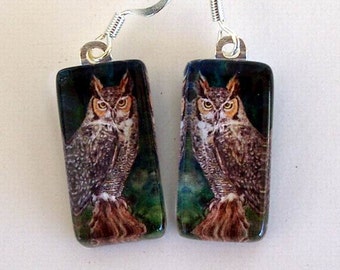 Owl Jewelry Earrings Great Horned Owl Art Glass Silver Plated Exclusive Colored Pencil Art