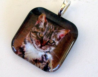 Cat Art Glass Square Pendant, Silver Plated Feline Jewelry
