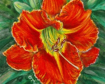Orange and Yellow Daylily Tijuana Taxi Original Painting Birthday Mother's Day Gift 5 x 7 Colored Pencil Art Unframed by AllKindsofArt