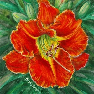 Orange and Yellow Daylily Tijuana Taxi Original Painting Birthday Mother&#39;s Day Gift 5 x 7 Colored Pencil Art Unframed by AllKindsofArt