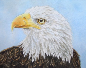 American Bald Eagle Painting School Mascot Watercolor & Grisaille Exclusive Bird Eagle Art