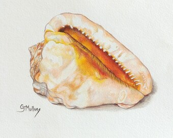 Seashell Colored Pencil Painting, Glowing Orange Beach Art