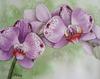 Orchid Watercolor Art Painting Lavender Spotted Phalaenopsis Moth Orchids on Light Green Background Orchid Grower Mother's Day Birthday Gift