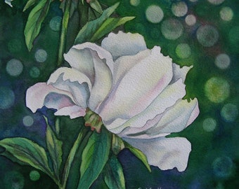 White Peony Watercolor Painting, Floral Garden Art (13x9")