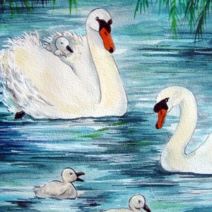 White Swans Painting Birds Cygnets in Pond Original Watercolor Mixed Media Art by AllKindsofArt artist Glenda Mullins