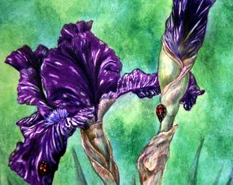 Purple Iris Colored Pencil Painting: Original Floral Art, 10x13"