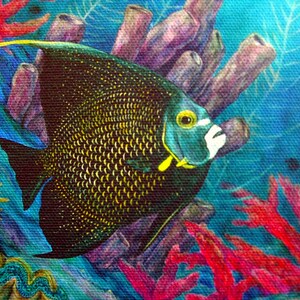 Ocean Fish Art Painting Black and Gold French Angelfish Framed Canvas Giclee from Colored Pencil Artwork