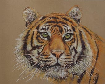 Tiger Face Cat Painting: Original Colored Pencil Art, 8x10