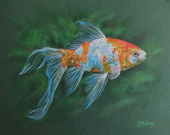 Fantail Orange and White Goldfish Aquarium Original Colored Pencil Art by AllKindsofArt artist Glenda Mullins