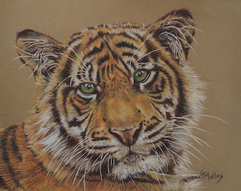 Tiger Cub Colored Pencil Painting: Original 8x10 Art - Tiger Lover Gift