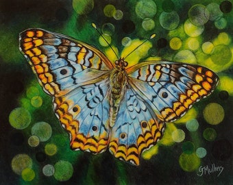 Blue Butterfly Colored Pencil Painting Green Bokeh Background 8 x 10 by AllKindsofArt artist Glenda Mullins