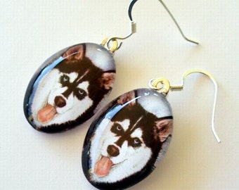 Husky Dog Earrings: Art Glass Jewelry, School Mascot Gift
